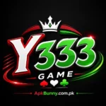 Y333 Game