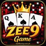 ZEE9 Game